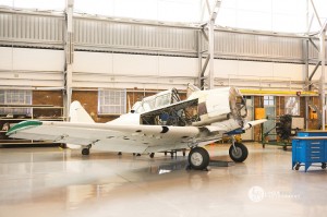 Wings2Fly_2013_05_08_small (66)