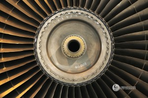 Wings2Fly_2013_05_08_small (68)