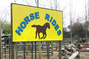 Ciaan en Familie (12)